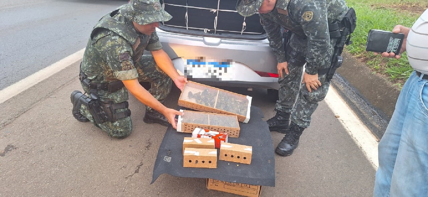 Os animais estavam presos em caixas de madeira e de papelão — Foto: Polícia Militar Ambiental/Divulgação