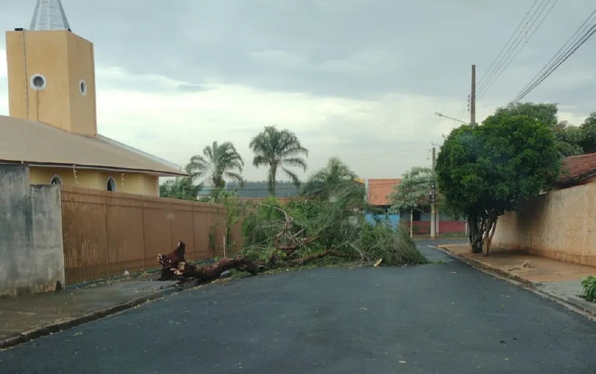 Tempestade e ventos registrados no ano passado em Ourinhos causaram queda de árvores; nesta terça-feira não houve estragos — Foto: Arquivo pessoal/ Arquivo
